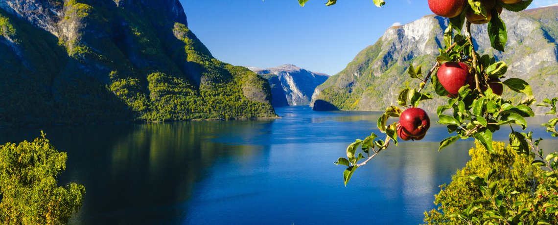 Photo Robin Strand - Fjord Norway - Aurlandsfjord